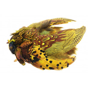 Whole Phesant without tale - Golden Olive