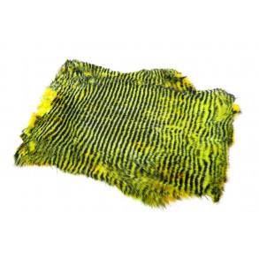 Whole Rabbit Pelts Barred - Yellow/Chatreuse/black