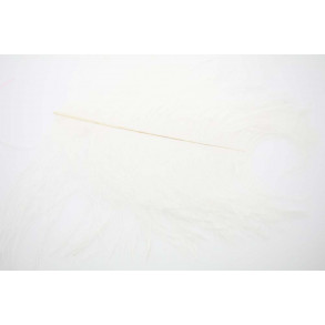 Xl Ostrich Herl - White