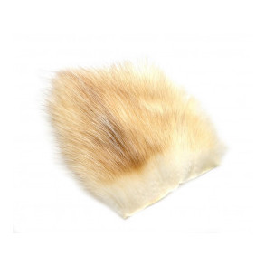 American Opossum - Baitfish