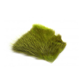 American Opossum - BG Green