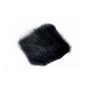 American Opossum - Black