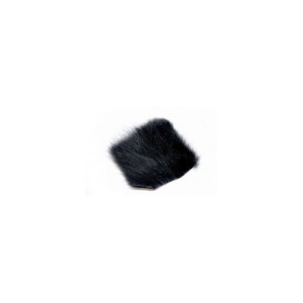 American Opossum - Black