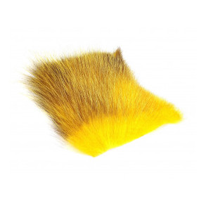 American Opossum - Dirty Yellow