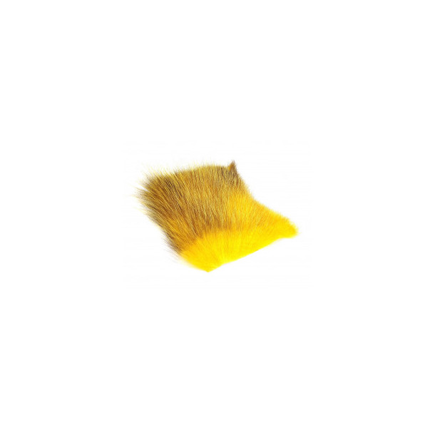 American Opossum - Dirty Yellow