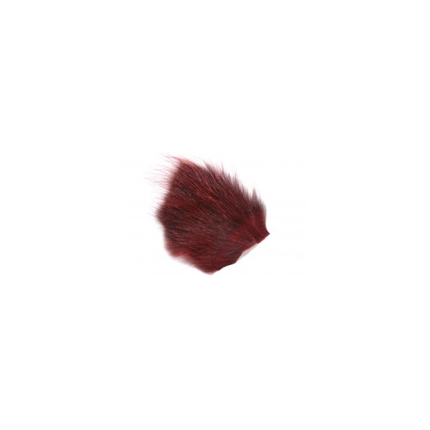 American Opossum - Em Claret