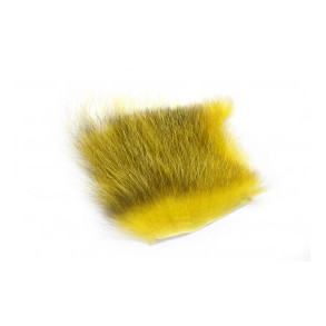 American Opossum - Golden Olive