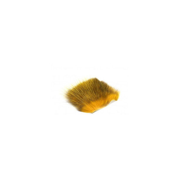 American Opossum - Honey Gold