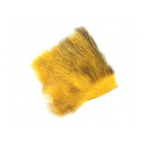 American Opossum - Honey Gold C