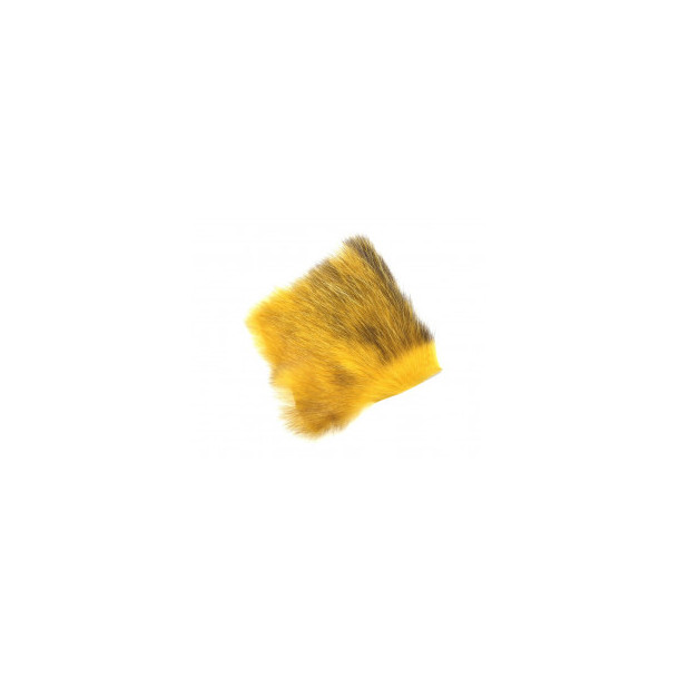 American Opossum - Honey Gold C