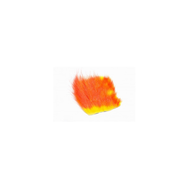 American Opossum - Hot Orange Hot Yellow B