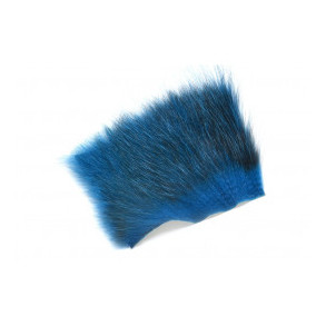 American Opossum - King Fisher Blue