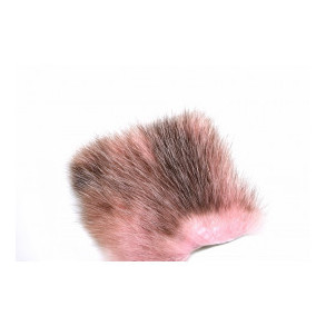 American Opossum - Light Pink