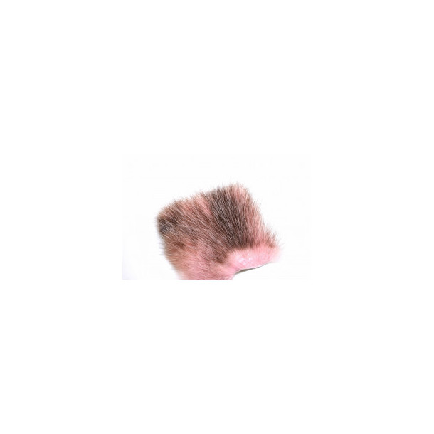 American Opossum - Light Pink