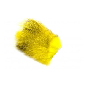 American Opossum - Neon Yellow