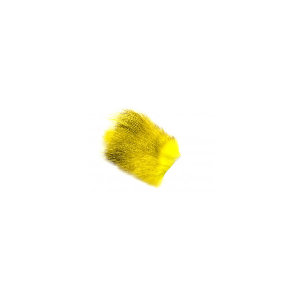 American Opossum - Neon Yellow