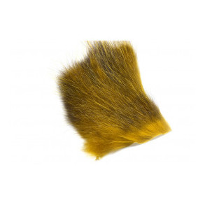 American Opossum - Olive - #1