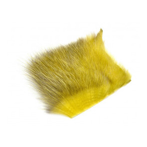 American Opossum - Olive - #2