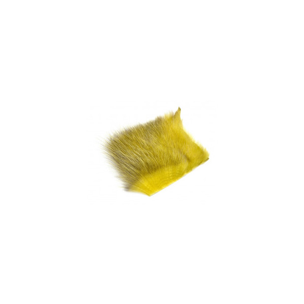 American Opossum - Olive - #2