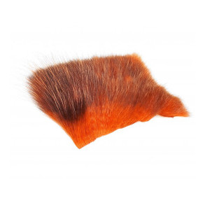 American Opossum - Orange/Brown