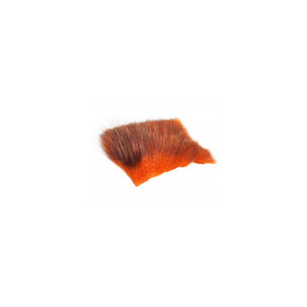 American Opossum - Orange/Brown