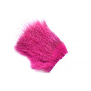 American Opossum - Purple