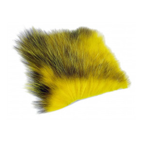 American Opossum - Yellow