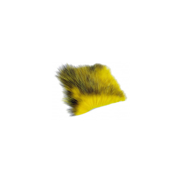American Opossum - Yellow