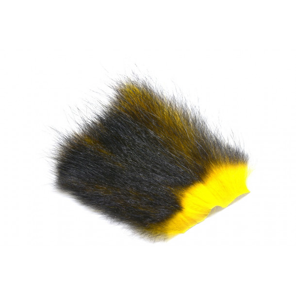 American Opossum - Yellow/Black