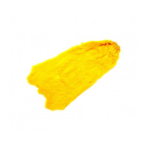 Australian Weasel - Sunburst