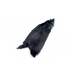 FutureFly - American Ondatra - Black