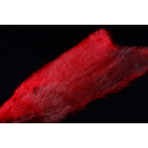 FutureFly - American Ondatra - Red