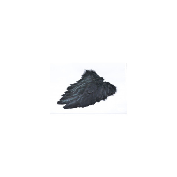 FutureFly - American Saddle - Black