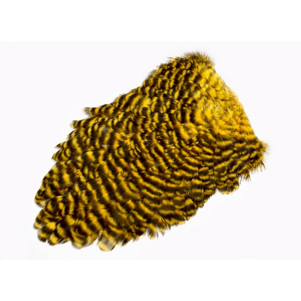 FutureFly - American Saddle - Sunburst/Yellow Grizzly