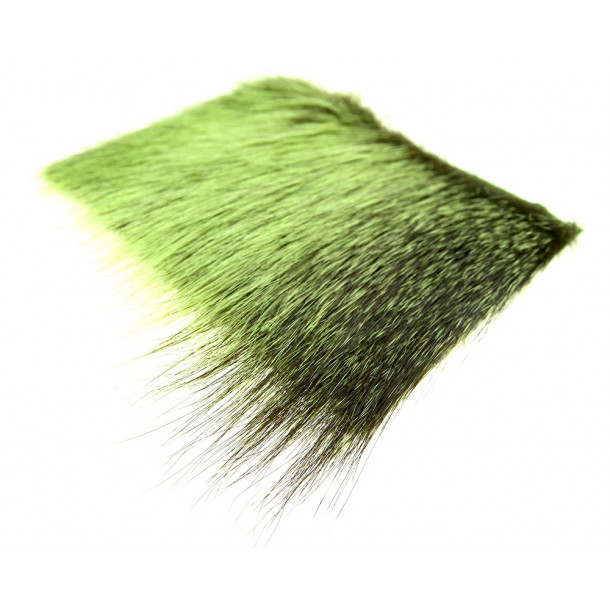 FutureFly - Nutria - Chartreuse