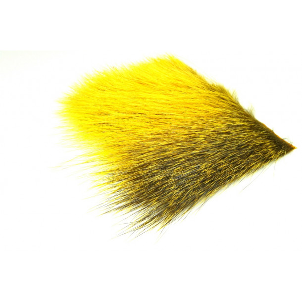 FutureFly - Nutria - Sunburst