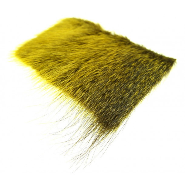 FutureFly - Nutria - Yellow