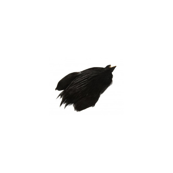 FutureFly - Rooster Cape - Black