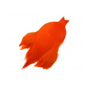FutureFly - Rooster Cape - Orange