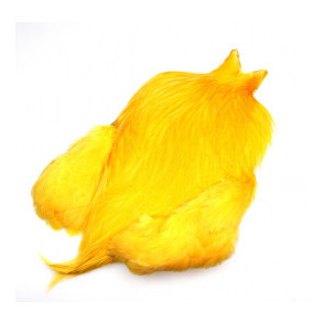 FutureFly - Rooster Cape - Sunburst Yellow