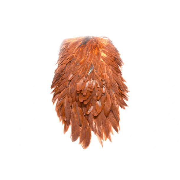 FutureFly - Signature Hen Saddle - Burnt Orange