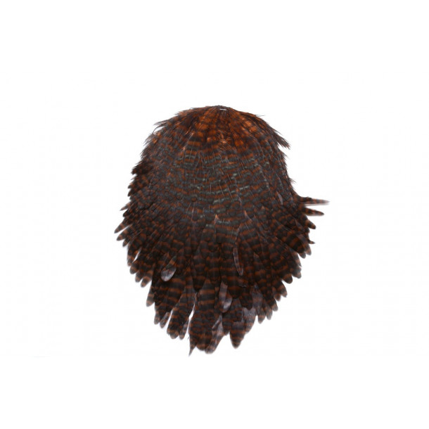 FutureFly - Signature Hen Saddle - GR/Coachmann Grizzly