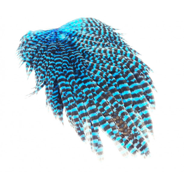 FutureFly - Signature Hen Saddle - King Fisher Blue Grizzly