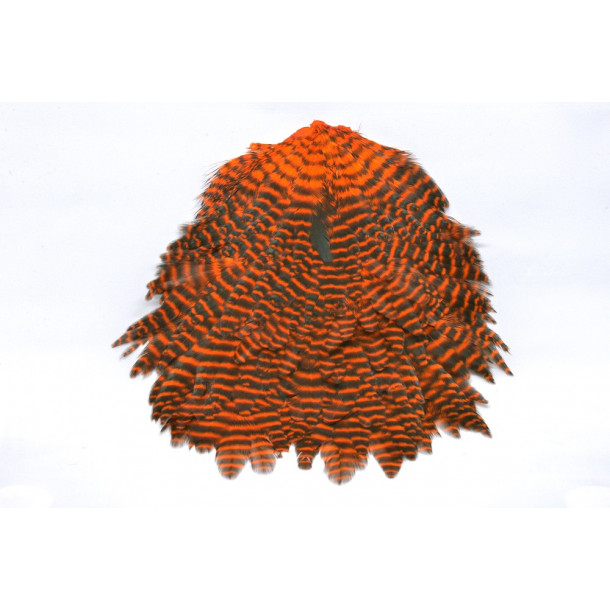 FutureFly - Signature Hen Saddle - Orange Grizzly