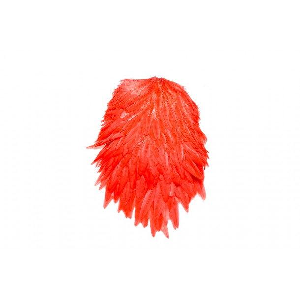 FutureFly - Signature Hen Saddle - Red
