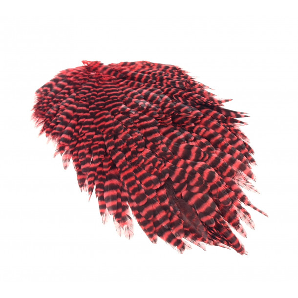 FutureFly - Signature Hen Saddle - Red Grizzly