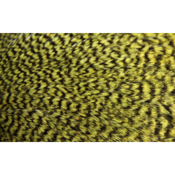 FutureFly - Signature Rooster Cape - Grizzly Olive