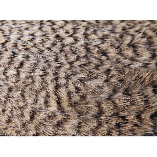 FutureFly - Signature Rooster Cape - Tan