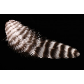 FutureFly - Soft Hackle - Grizzly - Naturel