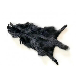 Golden Squirrel - Black